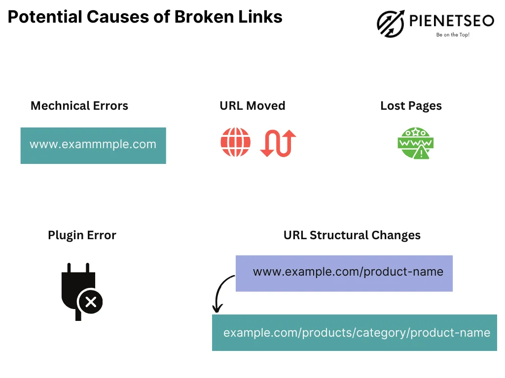 Picture 9 Picture 2.png